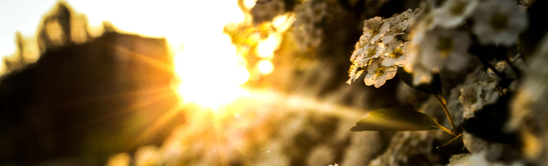 PRIMERA IGLESIA BAUTISTA DE ORLANDO